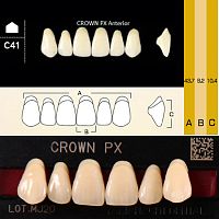Зубы CROWN PX Anterior, цвет C4, фасон C41 композитные трехслойные, 6 шт. от Дентал-Ист