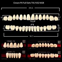 Зубы PX CROWN / EFUCERA, цвет A3,5, фасон T41/N32/28, полный гарнитур, 28шт. от Дентал-Ист