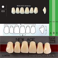 Зубы NEW ACE Anterior, цвет C3, фасон O3 акриловые двухслойные, 6 шт. от Дентал-Ист