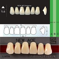 Зубы NEW ACE Anterior, цвет B3, фасон TL6 акриловые двухслойные, 6 шт. от Дентал-Ист