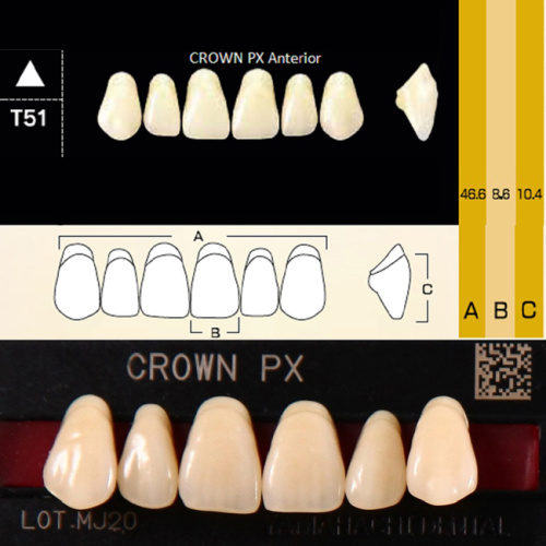 Зубы CROWN PX Anterior, цвет A2, фасон T51 композитные трехслойные, 6 шт.