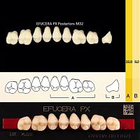Зубы EFUCERA PX Posteriors, цвет W05, фасон 32, композитные трехслойные боковые верхние, 8 штук на планке.