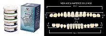 Зубы в боксах New Ace / Million, цвет C2, фасон O3/L3/M30, 20 полных гарнитуров.
