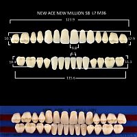 Зубы NEW ACE/NEW MILLION, цвет B1, фасон S8/L7/M36, полный гарнитур, 28шт. от Дентал-Ист