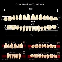 Зубы PX CROWN / EFUCERA, цвет C2, фасон T51/N42/30, полный гарнитур, 28шт.