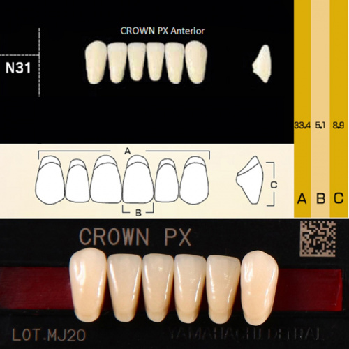 Зубы CROWN PX Anterior, цвет C2 фасон N31 композитные трёхслойные, 6шт. от Дентал-Ист