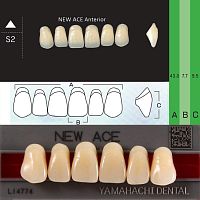 Зубы NEW ACE Anterior, цвет A1, фасон S2 акриловые двухслойные, 6 шт. от Дентал-Ист