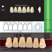 Зубы NEW ACE Anterior, цвет D4, фасон T4 акриловые двухслойные, 6 шт. от Дентал-Ист
