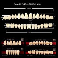 Зубы PX CROWN / EFUCERA, цвет C1, фасон T51S/N42/30, полный гарнитур, 28шт. от Дентал-Ист
