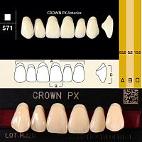 Зубы CROWN PX Anterior, цвет A1, фасон S71 композитные трехслойные, 6 шт. от Дентал-Ист