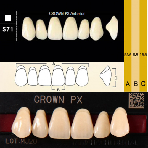 Зубы CROWN PX Anterior, цвет A1, фасон S71 композитные трехслойные, 6 шт. от Дентал-Ист