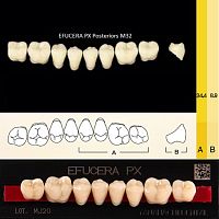 Зубы EFUCERA PX Posteriors, цвет D4, фасон 32, композитные трехслойные боковые нижние, 8 штук на планке. от Дентал-Ист