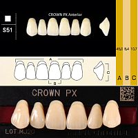 Зубы CROWN PX Anterior, цвет D4, фасон S51 композитные трехслойные, 6 шт.
