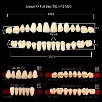 Зубы PX CROWN / EFUCERA, цвет B1, фасон T51/N42/30, полный гарнитур, 28шт. от Дентал-Ист