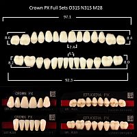 Зубы PX CROWN / EFUCERA, цвет A2, фасон O31S/N31S/28, полный гарнитур, 28шт. от Дентал-Ист
