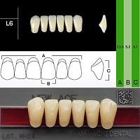 Зубы NEW ACE Anterior, цвет A2, фасон L6 акриловые двухслойные, 6 шт. от Дентал-Ист