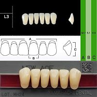 Зубы NEW ACE Anterior, цвет A1, фасон L3 акриловые двухслойные, 6 шт. от Дентал-Ист