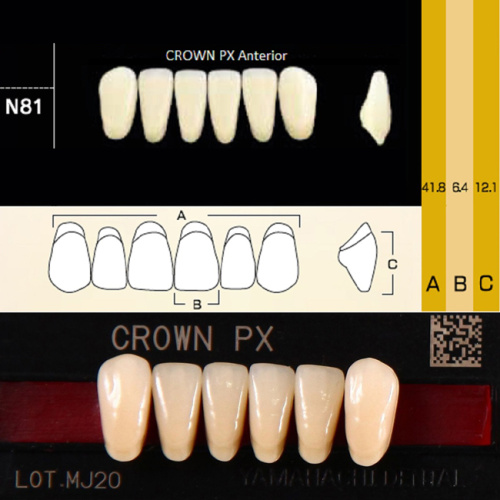 Зубы CROWN PX Anterior, цвет A1 фасон N81 композитные трёхслойные, 6шт.