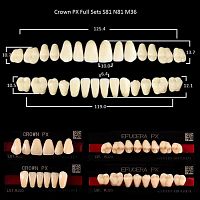Зубы PX CROWN / EFUCERA, цвет A3,5, фасон S81/N81/36, полный гарнитур, 28шт. от Дентал-Ист