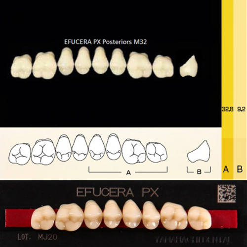 Зубы EFUCERA PX Posteriors, цвет D4, фасон 32, композитные трехслойные боковые верхние, 8 штук на планке. от Дентал-Ист