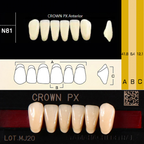 Зубы CROWN PX Anterior, цвет A1 фасон N81 композитные трёхслойные, 6шт. от Дентал-Ист