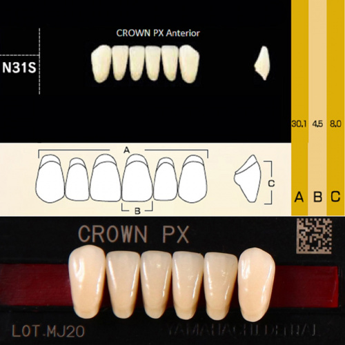 Зубы CROWN PX Anterior, цвет W05 фасон N31S композитные трёхслойные, 6шт. от Дентал-Ист