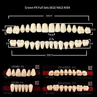 Зубы PX CROWN / EFUCERA, цвет C2, фасон S61S/N61S/34, полный гарнитур, 28шт.