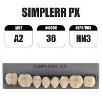 PX Simplerr Posterior боковые нижние, A2, ф. 36, зубы акриловые трехслойные, 8 шт.