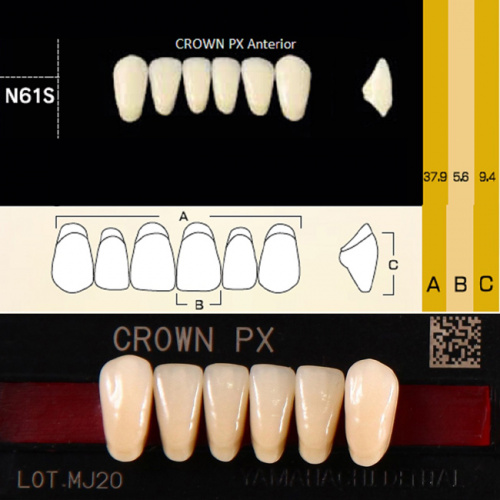 Зубы CROWN PX Anterior, цвет D2 фасон N61S композитные трёхслойные, 6шт. от Дентал-Ист