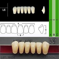 Зубы NEW ACE Anterior, цвет D4, фасон L6 акриловые двухслойные, 6 шт.