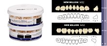 Зубы в боксах Million Posterior, однослойные, цвет C4, фасон M32, 20 боковых гарнитуров, 320 штук.