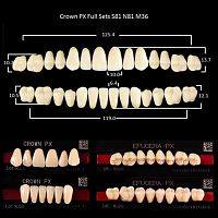 Зубы PX CROWN / EFUCERA, цвет A3 фасон S81/N81/36, полный гарнитур, 28шт. от Дентал-Ист