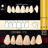 Зубы CROWN PX Anterior, цвет A1, фасон S71 композитные трехслойные, 6 шт.