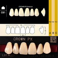 Зубы CROWN PX Anterior, цвет D2, фасон C61 композитные трехслойные, 6 шт.