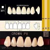 Зубы CROWN PX Anterior, цвет D3, фасон S71 композитные трехслойные, 6 шт.