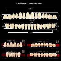 Зубы PX CROWN / EFUCERA, цвет A3,5, фасон S81/N81/36, полный гарнитур, 28шт.