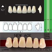 Зубы NEW ACE Anterior, цвет A2, фасон TL7 акриловые двухслойные, 6 шт. от Дентал-Ист
