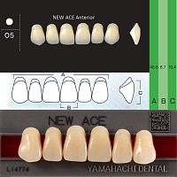 Зубы NEW ACE Anterior, цвет A2, фасон O5 акриловые двухслойные, 6 шт. от Дентал-Ист