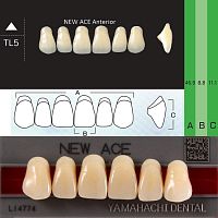 Зубы NEW ACE Anterior, цвет C3, фасон TL5 акриловые двухслойные, 6 шт. от Дентал-Ист