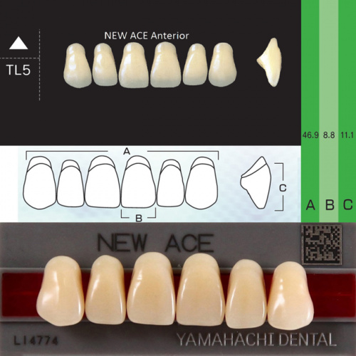 Зубы NEW ACE Anterior, цвет C3, фасон TL5 акриловые двухслойные, 6 шт. от Дентал-Ист