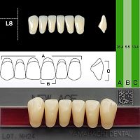 Зубы NEW ACE Anterior, цвет A4, фасон L8 акриловые двухслойные, 6 шт.
