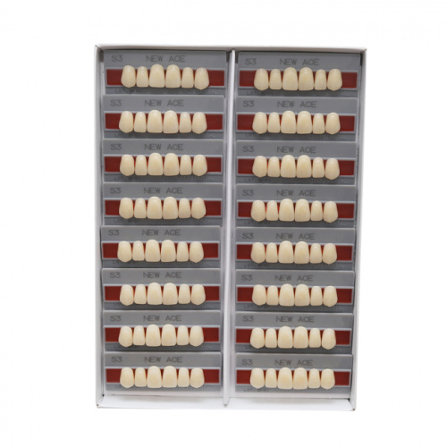 Зубы NEW ACE Anterior, цвет A3, фасон S5 акриловые двухслойные, 6 шт. фото 2