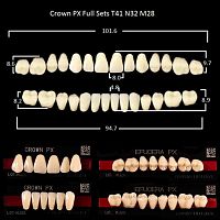 Зубы PX CROWN / EFUCERA, цвет A2, фасон T41/N32/28, полный гарнитур, 28шт. от Дентал-Ист