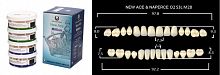 Зубы в боксах New Ace / Million, цвет C1, фасон O2/S3L/M28, 20 полных гарнитуров. от Дентал-Ист