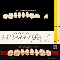 Зубы EFUCERA PX Posteriors, цвет B3, фасон 30, композитные трехслойные боковые верхние, 8 штук на планке. от Дентал-Ист
