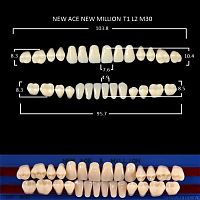 Зубы NEW ACE/NEW MILLION, цвет D4, фасон T1/L2/M30, полный гарнитур, 28шт. от Дентал-Ист