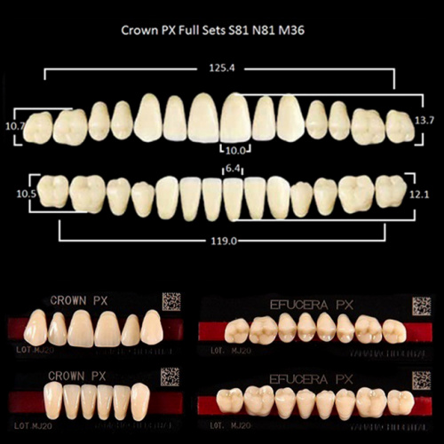 Зубы PX CROWN / EFUCERA, цвет D4, фасон S81/N81/36, полный гарнитур, 28шт. от Дентал-Ист