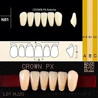 Зубы CROWN PX Anterior, цвет D2 фасон N81 композитные трёхслойные, 6шт.