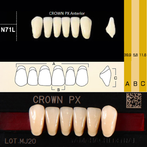 Зубы CROWN PX Anterior, цвет A3 фасон N71L композитные трёхслойные, 6шт.