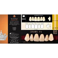 Зубы CROWN PX Anterior, цвет A1, фасон S44S композитные трехслойные, 6 шт.